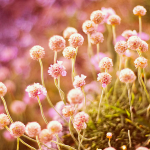 Photography for Seasonal Marketing Campaigns