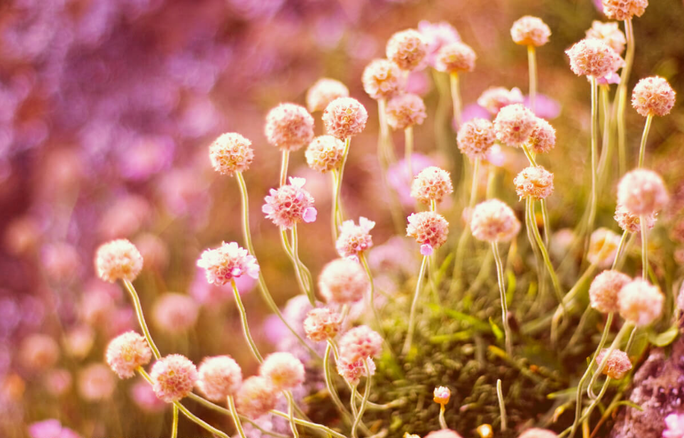 Photography for Seasonal Marketing Campaigns