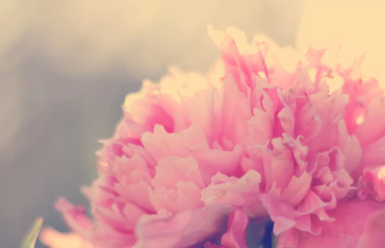 Photography for Seasonal Marketing Campaigns - Image 4