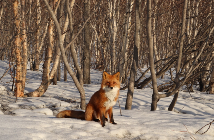 Photography for Seasonal Marketing Campaigns - Image 6
